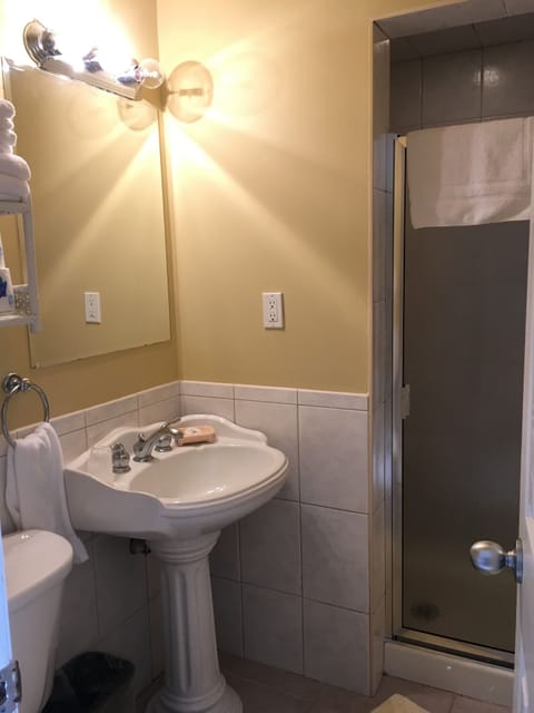 Seabreeze Suite | Bathroom | Shower, free toiletries, hair dryer, towels