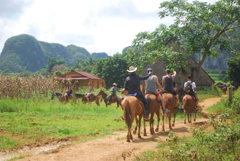 Horseback riding