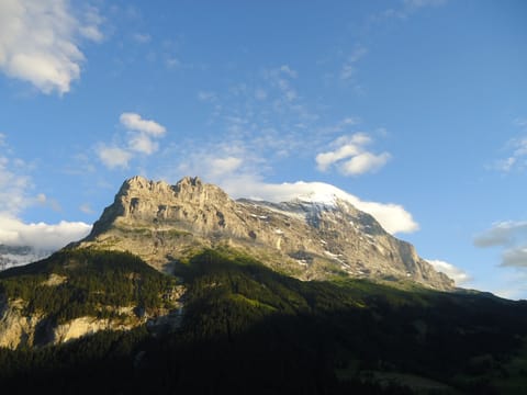 Panoramic Apartment, Balcony, Mountain View | Mountain view