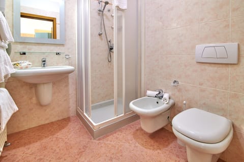 Hair dryer, bidet, towels