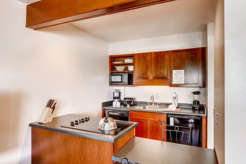 Room (Studio,Kitchenette) | Private kitchenette | Full-size fridge, microwave, coffee/tea maker