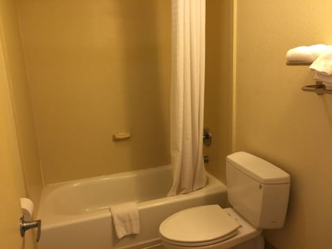 Combined shower/tub, hair dryer, towels