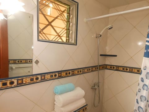 Double or Twin Room | Bathroom | Shower, free toiletries, hair dryer, towels