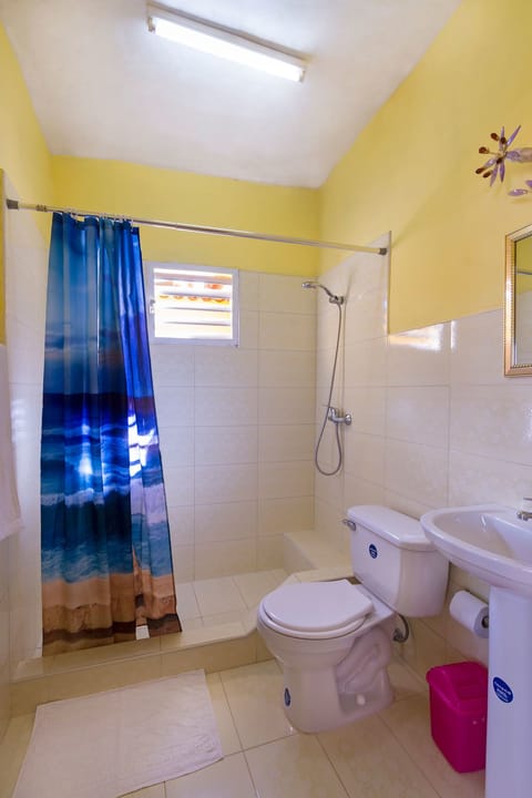 Double or Twin Room | Bathroom | Shower, hair dryer, towels