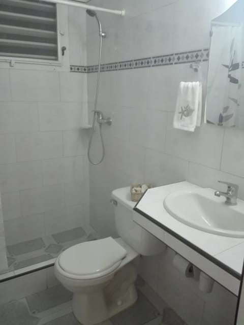 Apartment | Bathroom | Shower, hair dryer, towels