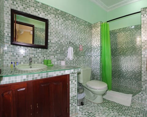 Double or Twin Room Upstairs | Bathroom | Shower, free toiletries, hair dryer, towels