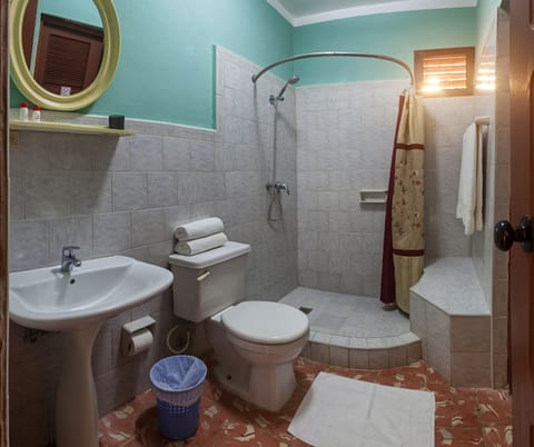 Basic Double Room | Bathroom | Shower, free toiletries, hair dryer, towels