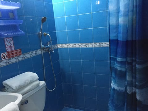 Twin Room | Bathroom | Shower, free toiletries, hair dryer, towels