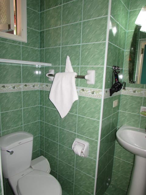 Double Room | Bathroom | Shower, free toiletries, hair dryer, towels