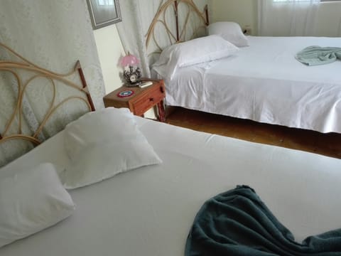 Double or Twin Room | Iron/ironing board, free WiFi, bed sheets