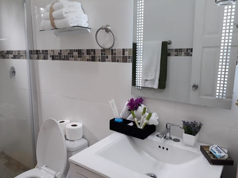 Exclusive Cottage, Non Smoking | Bathroom | Shower, towels, shampoo