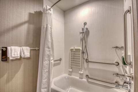 Room, 1 King Bed with Sofa bed | Bathroom | Combined shower/tub, free toiletries, hair dryer, towels