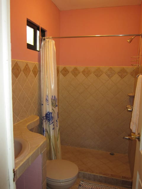 Studio, Kitchenette | Bathroom | Shower, towels, soap, shampoo