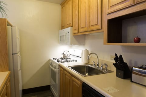 Studio | Private kitchen | Fridge, microwave, oven, dishwasher