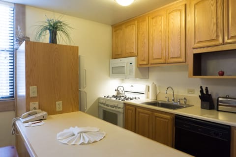 Studio | Private kitchen | Fridge, microwave, oven, dishwasher