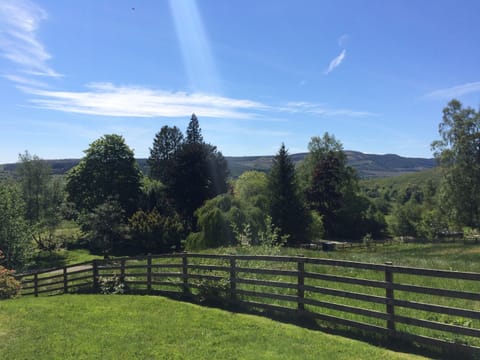 Cabin, Accessible, Private Bathroom (log) | Exterior