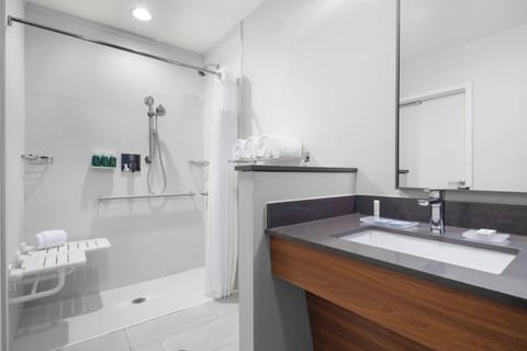 Room, 1 King Bed | Bathroom | Shower, rainfall showerhead, free toiletries, hair dryer