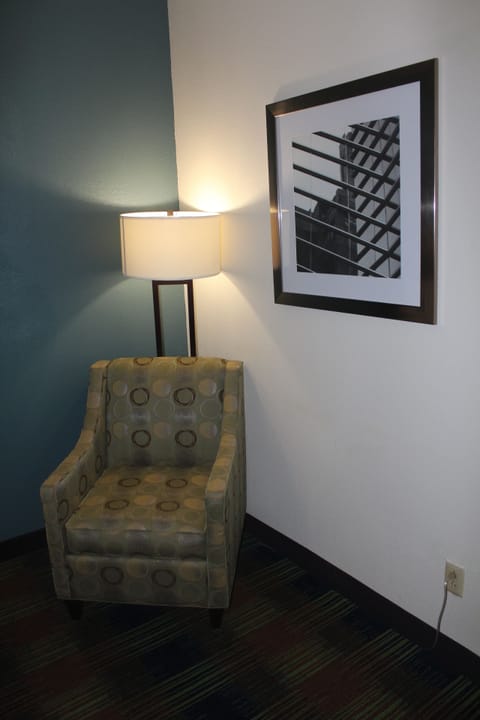 Standard Room, 1 King Bed, Non Smoking | Desk, laptop workspace, blackout drapes, iron/ironing board