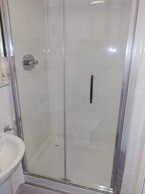 Single Room | Bathroom | Shower, hair dryer, towels