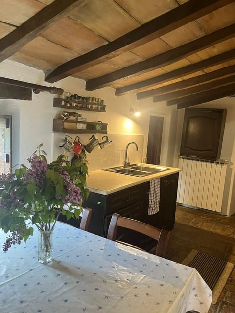 Kitchen and living room