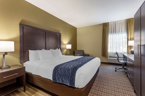 Standard Room, 1 King Bed | Pillowtop beds, in-room safe, desk, laptop workspace