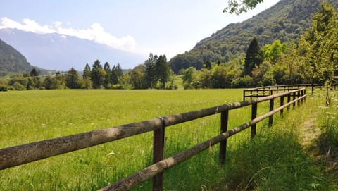 View down valley from front fence