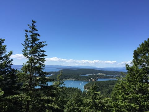 View of Westcott Bay from Mt. Young
