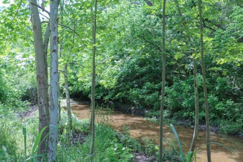 Kelly's Creekside - Erin's Escape