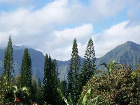Views of the Na Pali mountains.