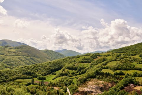 Land view from property