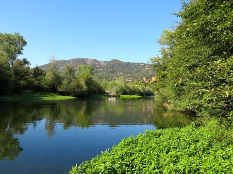 Scene from Secret Beach