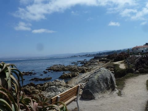 This is where I would bring my morning coffee. Just down the street. 