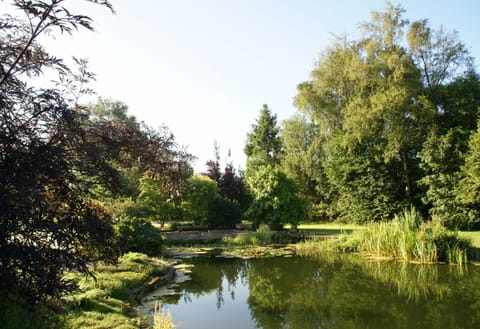 One of garden ponds