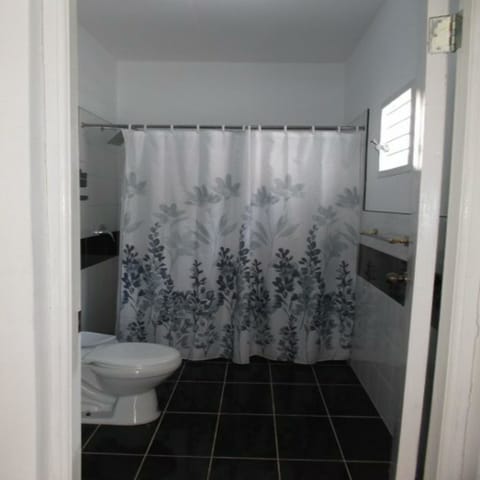 Triple Room, 1 Large Twin Bed, Non Smoking | Bathroom | Shower, free toiletries, hair dryer, towels