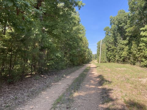 The private road to Redbud Cottage. You'll see abundant wildlife!
