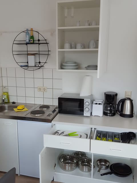 Deluxe Apartment | Private kitchen | Full-size fridge, microwave, stovetop, coffee/tea maker