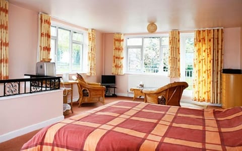 Exclusive Double Room, 1 King Bed, Non Smoking | Iron/ironing board, free WiFi, bed sheets