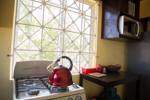 Family Apartment, 2 Bedrooms | Private kitchen | Full-size fridge, microwave, oven, stovetop