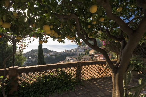 Balcony view