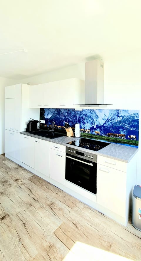 Luxury Apartment, 1 Bedroom, Balcony, Mountain View | Private kitchen | Full-size fridge, microwave, oven, stovetop