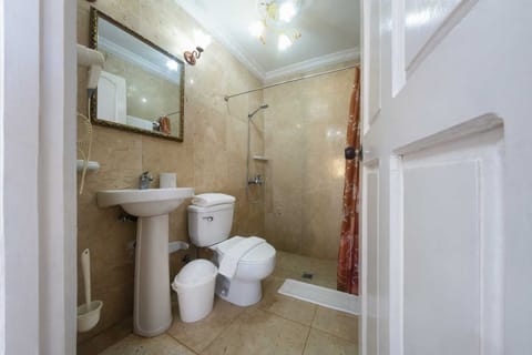 Deluxe Quadruple Room, Multiple Beds, Non Smoking | Bathroom | Shower, rainfall showerhead, hair dryer, towels