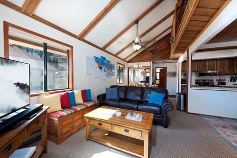 Main Living, Kitchen and Dining Spaces - Wood Burning fireplace (wood provided), TV and 2 pull out couches (queen)