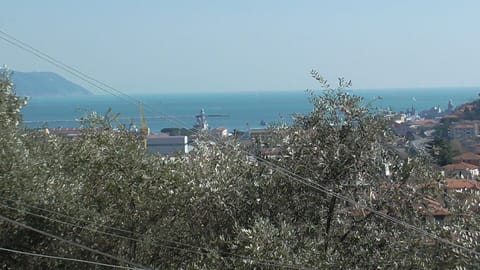 Beach/ocean view