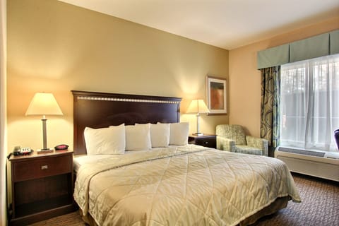 Standard Room, 1 King Bed, Non Smoking | Premium bedding, pillowtop beds, in-room safe, blackout drapes