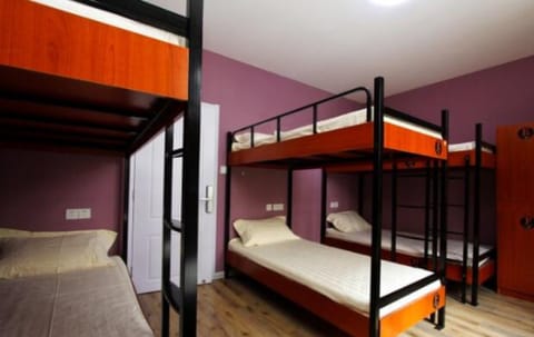 Bed in 8-bed Female Dormitory Room | Blackout drapes, free WiFi