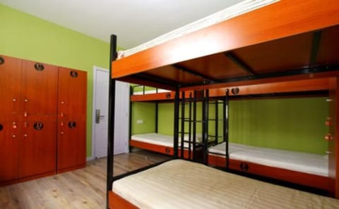 Bed in 10-bed Female Dormitory Room | Blackout drapes, free WiFi