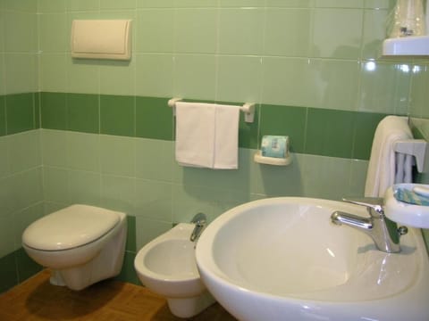 Shower, free toiletries, hair dryer, bidet