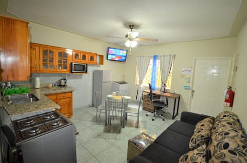 Traditional Apartment, 1 Queen Bed, Non Smoking | Living area | 45-inch flat-screen TV with cable channels, TV, Netflix