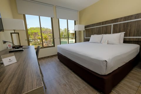 Standard Double Room | Egyptian cotton sheets, premium bedding, pillowtop beds, minibar