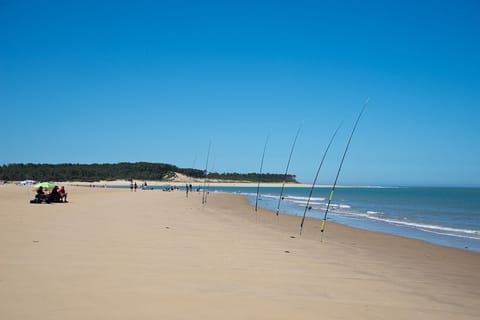 Beach nearby, free beach shuttle, beach bar